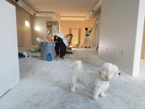 Komfort w każdym pokoju – jak dobrać odpowiednie meble?